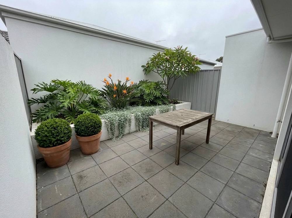 A courtyard, with the plan grown in