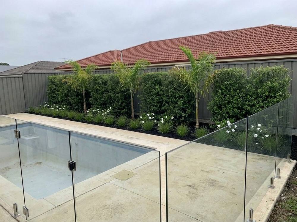 A pool fence line, with the plan grown in