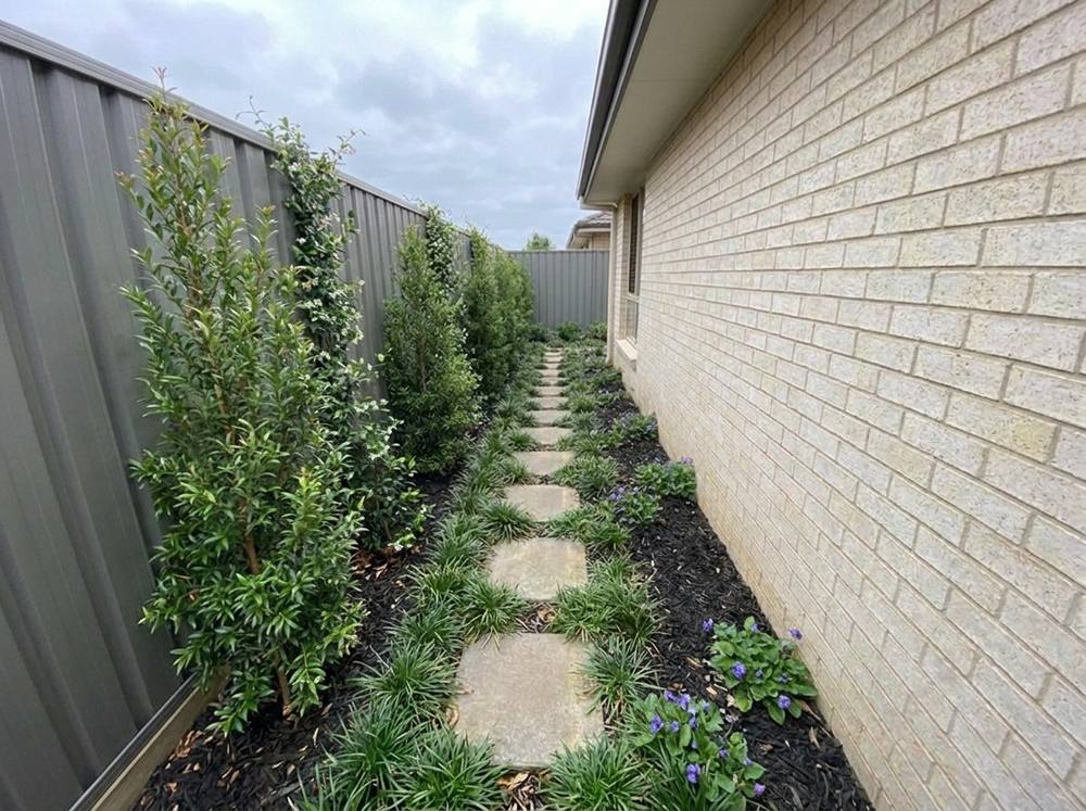 A side path, with the plan grown in